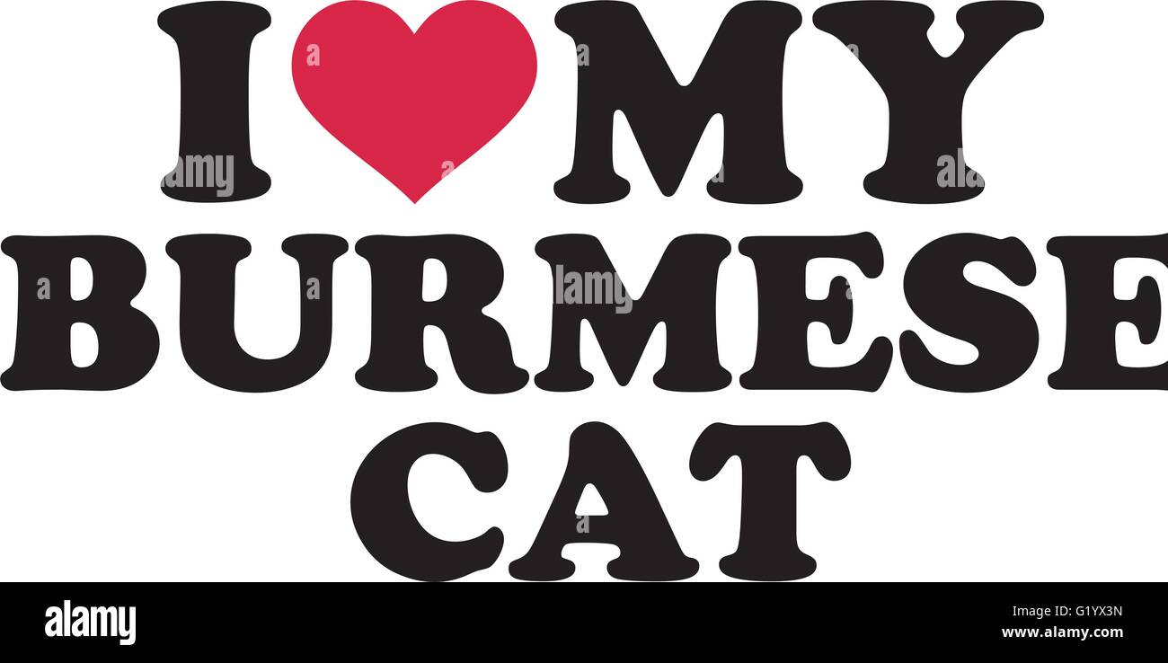 J'aime mon chat birman Illustration de Vecteur