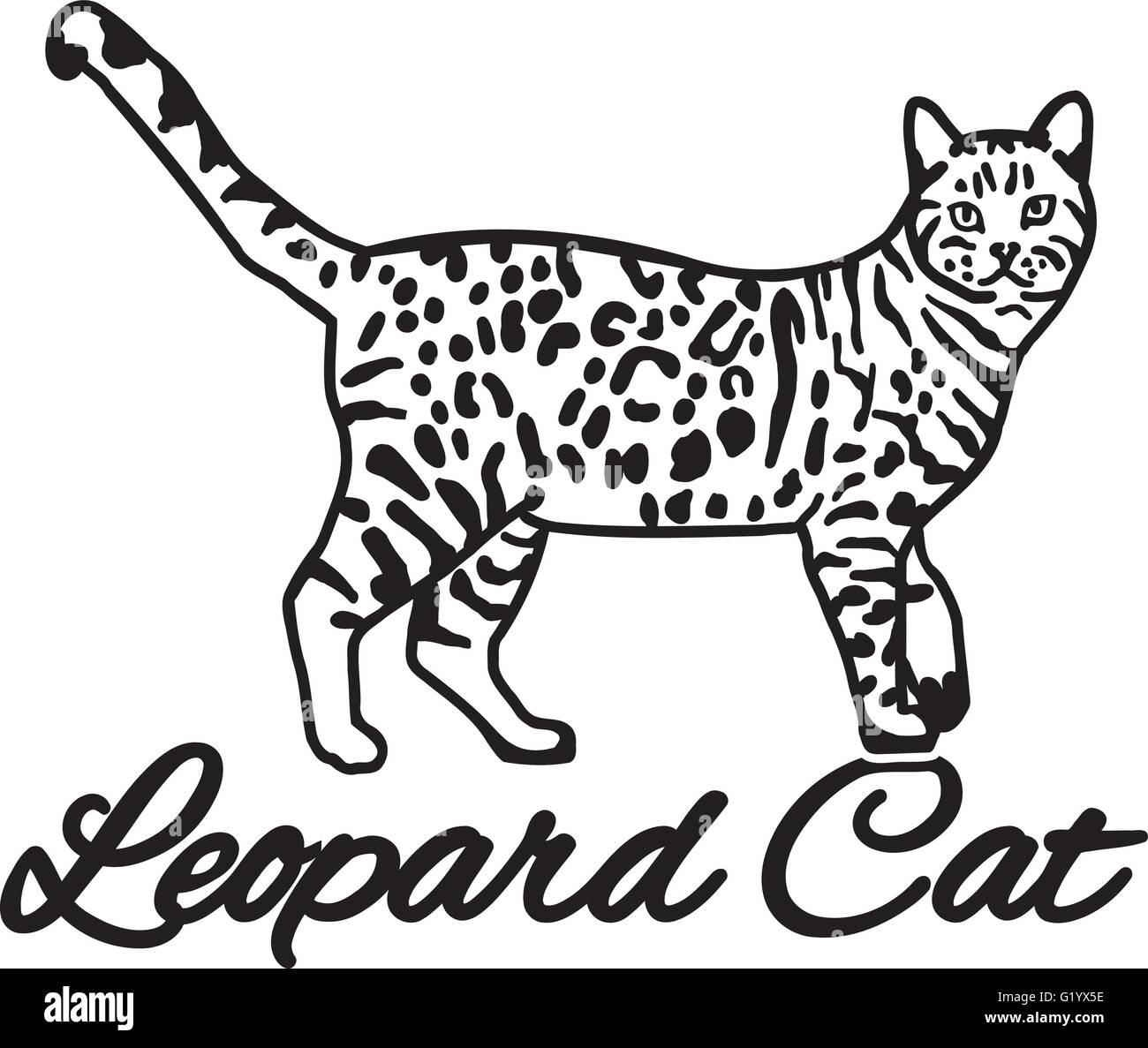 Chat-léopard avec nom race Illustration de Vecteur