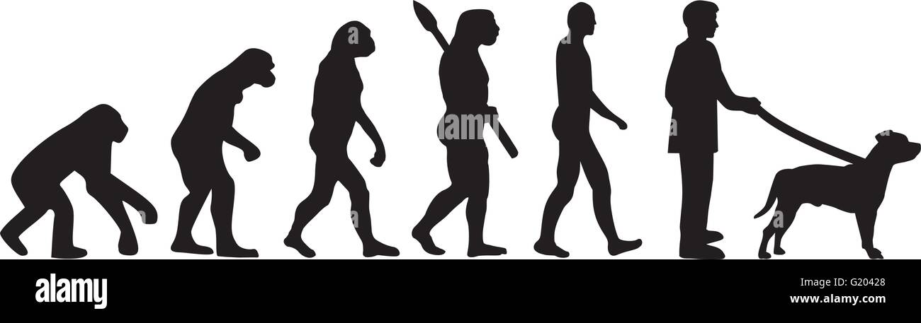 Staffordshire Bull Terrier évolution Illustration de Vecteur