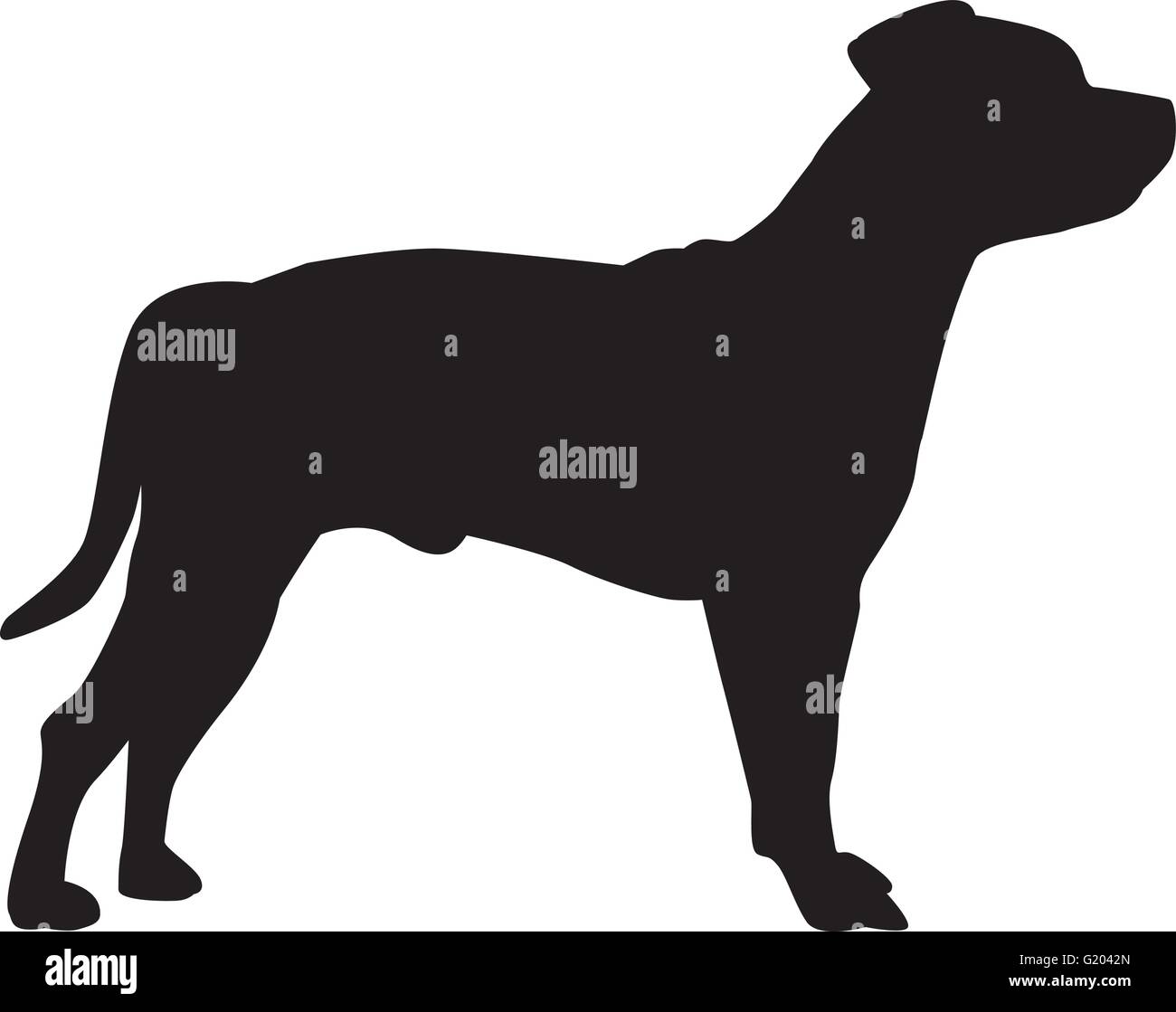 Staffordshire Bull Terrier silhouette Illustration de Vecteur