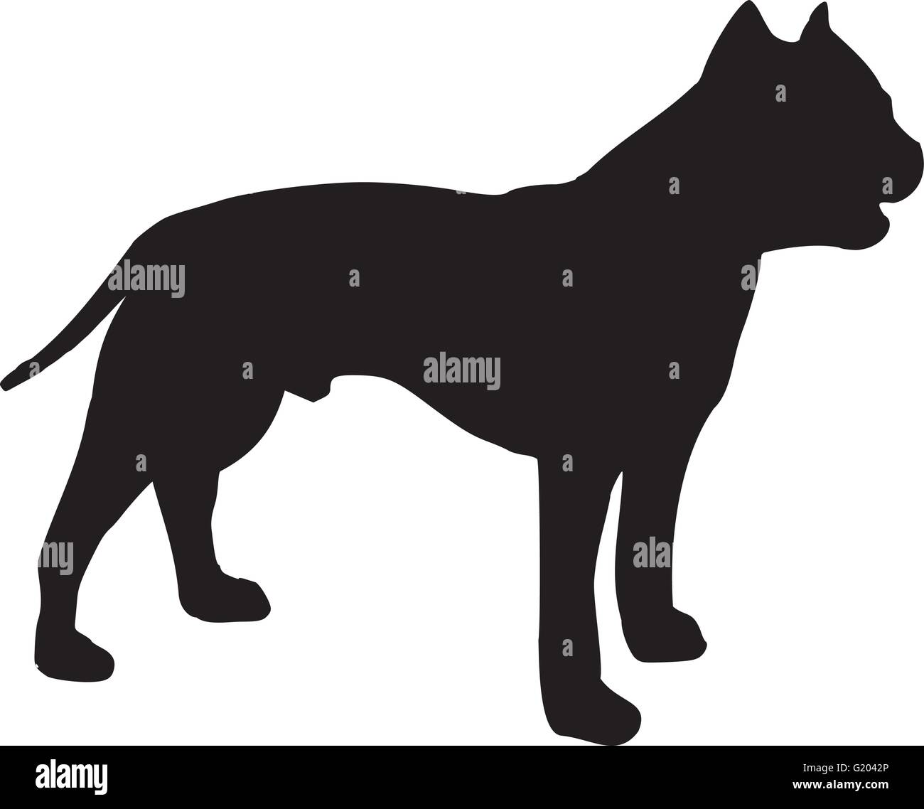 Staffordshire Bull Terrier silhouette Illustration de Vecteur