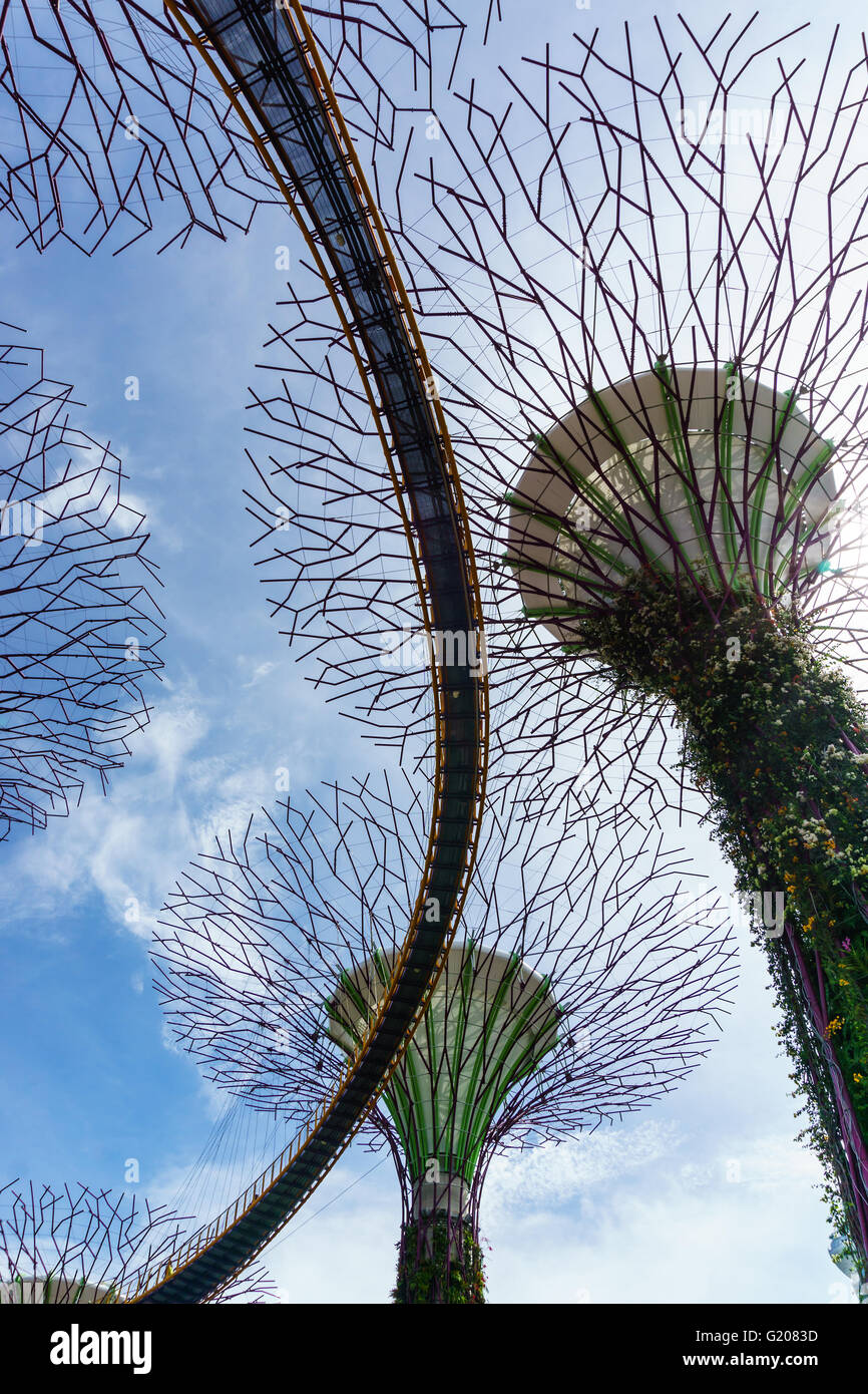 Singapour - 13 mai 2016 : Supertree rainures sur le ciel bleu. Gardens by the Bay est un parc ou jardin botanique de Singapour. Banque D'Images