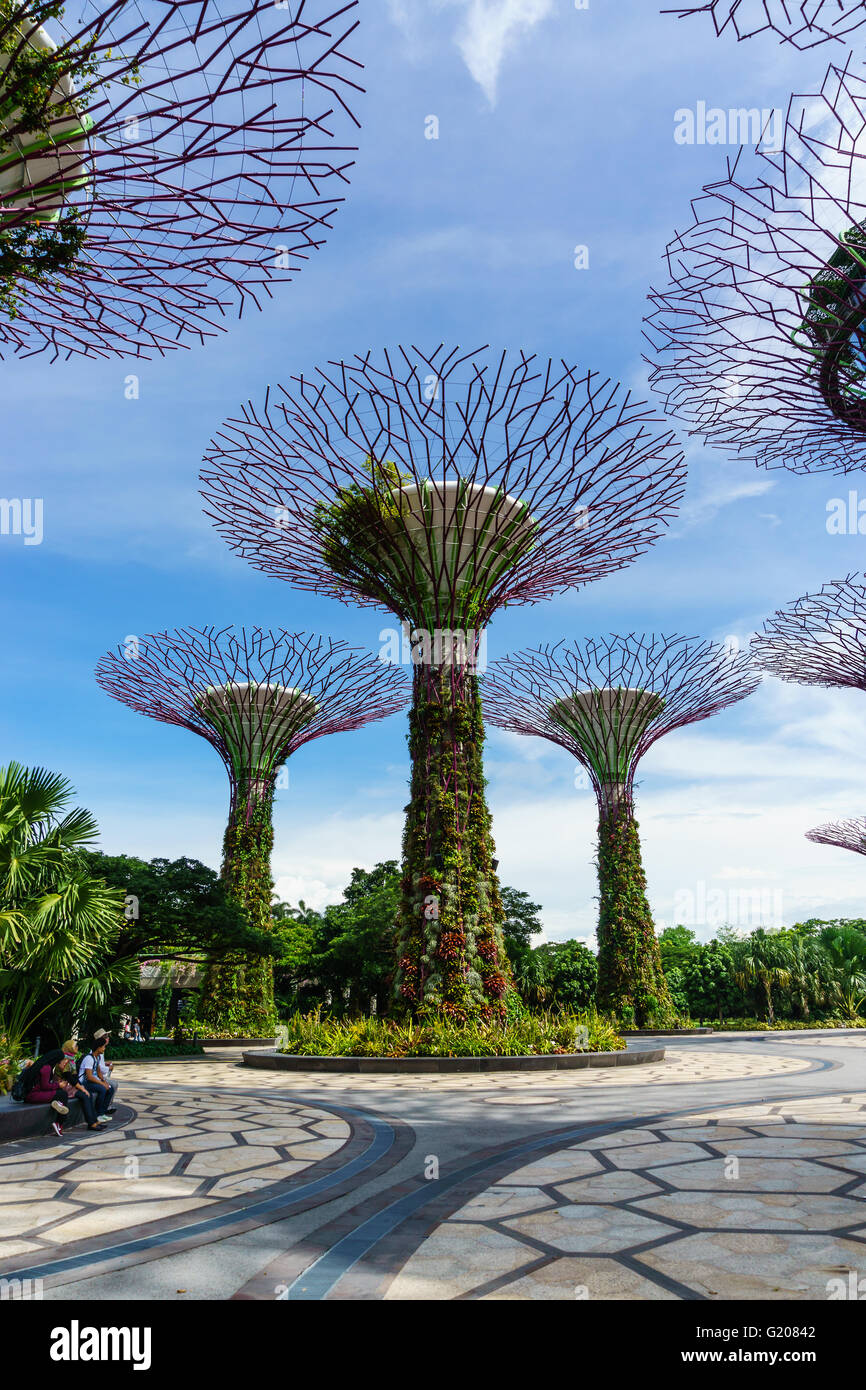 Singapour - 13 mai 2016 : Supertree rainures sur le ciel bleu. Gardens by the Bay est un parc ou jardin botanique de Singapour. Banque D'Images