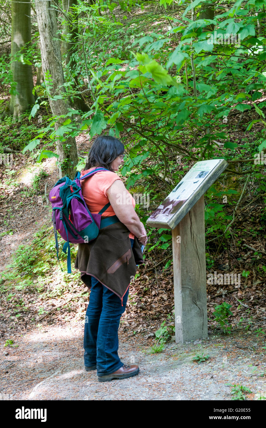 Une femme lit un panneau informatif sur les restes d'une mine sur hearthstone Colley Hill dans le Surrey. Banque D'Images