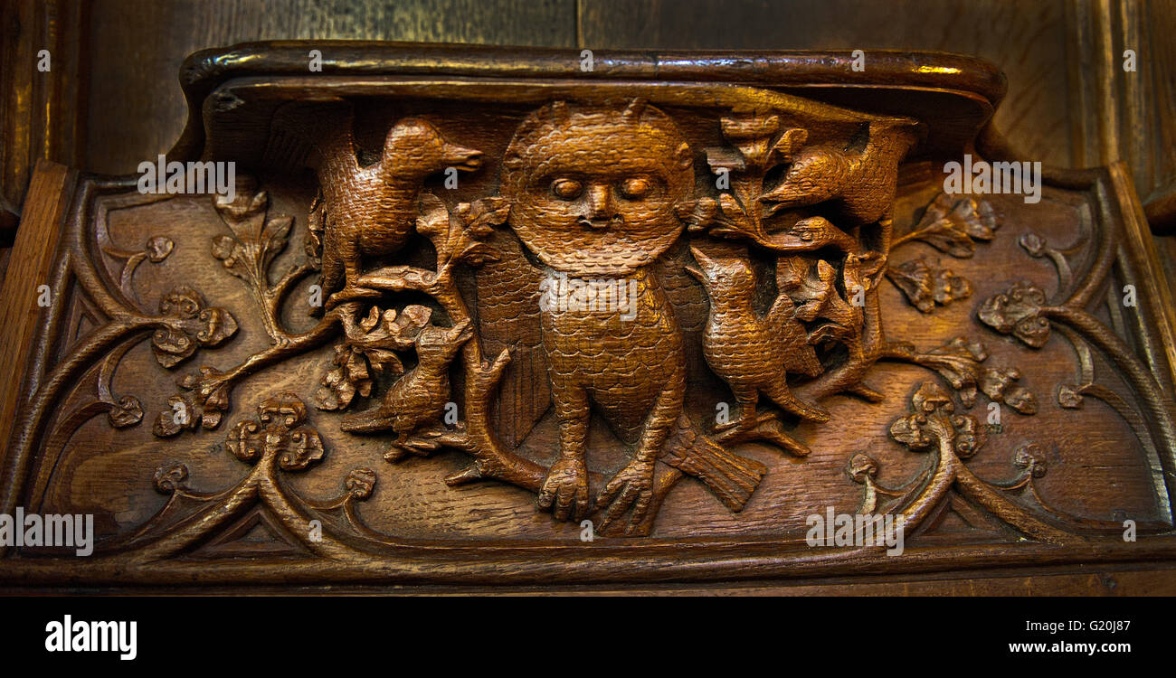 Misericord médiévale représentant un hibou d'être assailli par les oiseaux de se référer à la pensée des Juifs dans la période médiévale qui ont été considérés avec s Banque D'Images