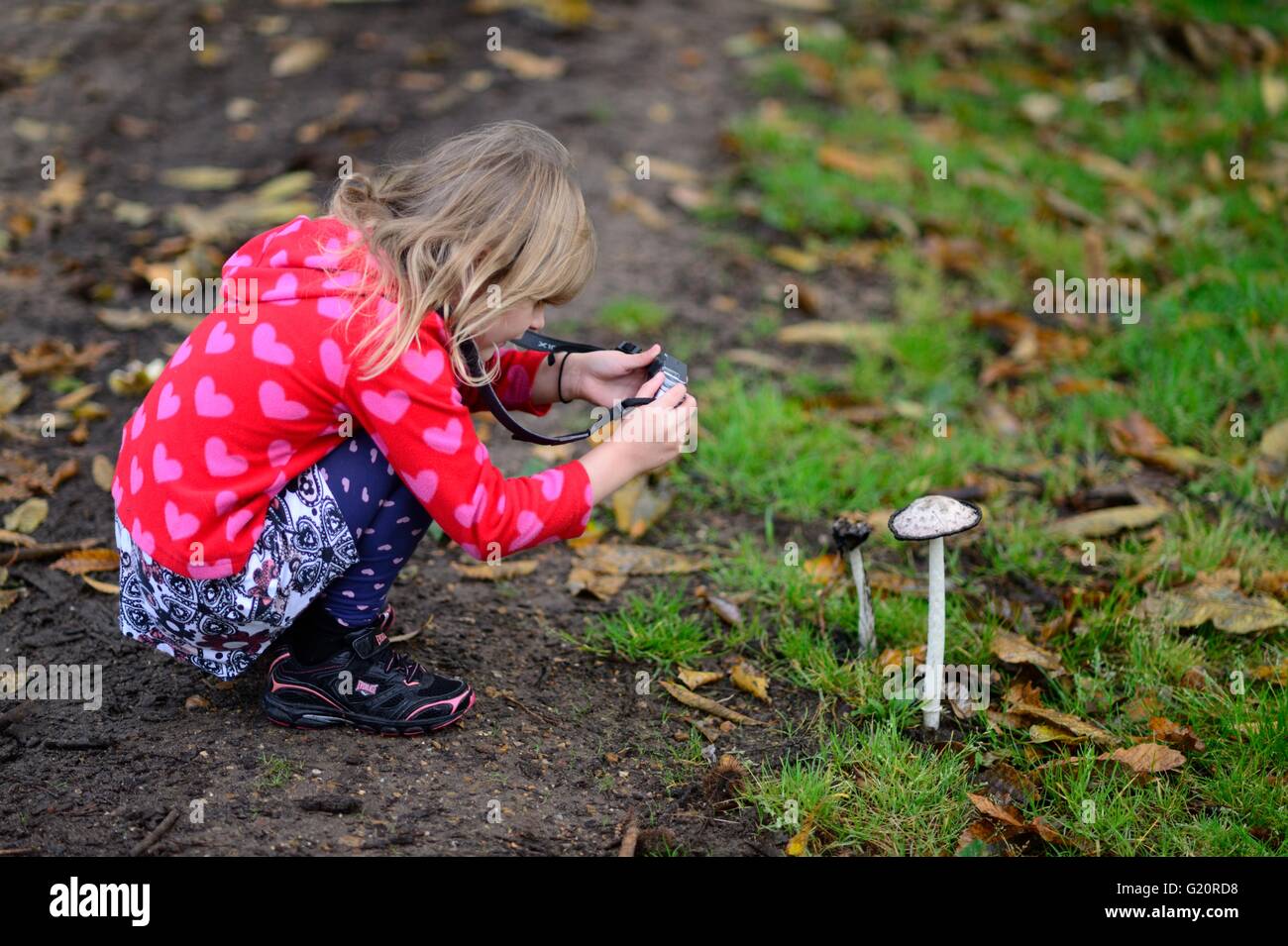 Jeune fille de photographier les champignons à l'automne dans le parc local North Norfolk UK Banque D'Images