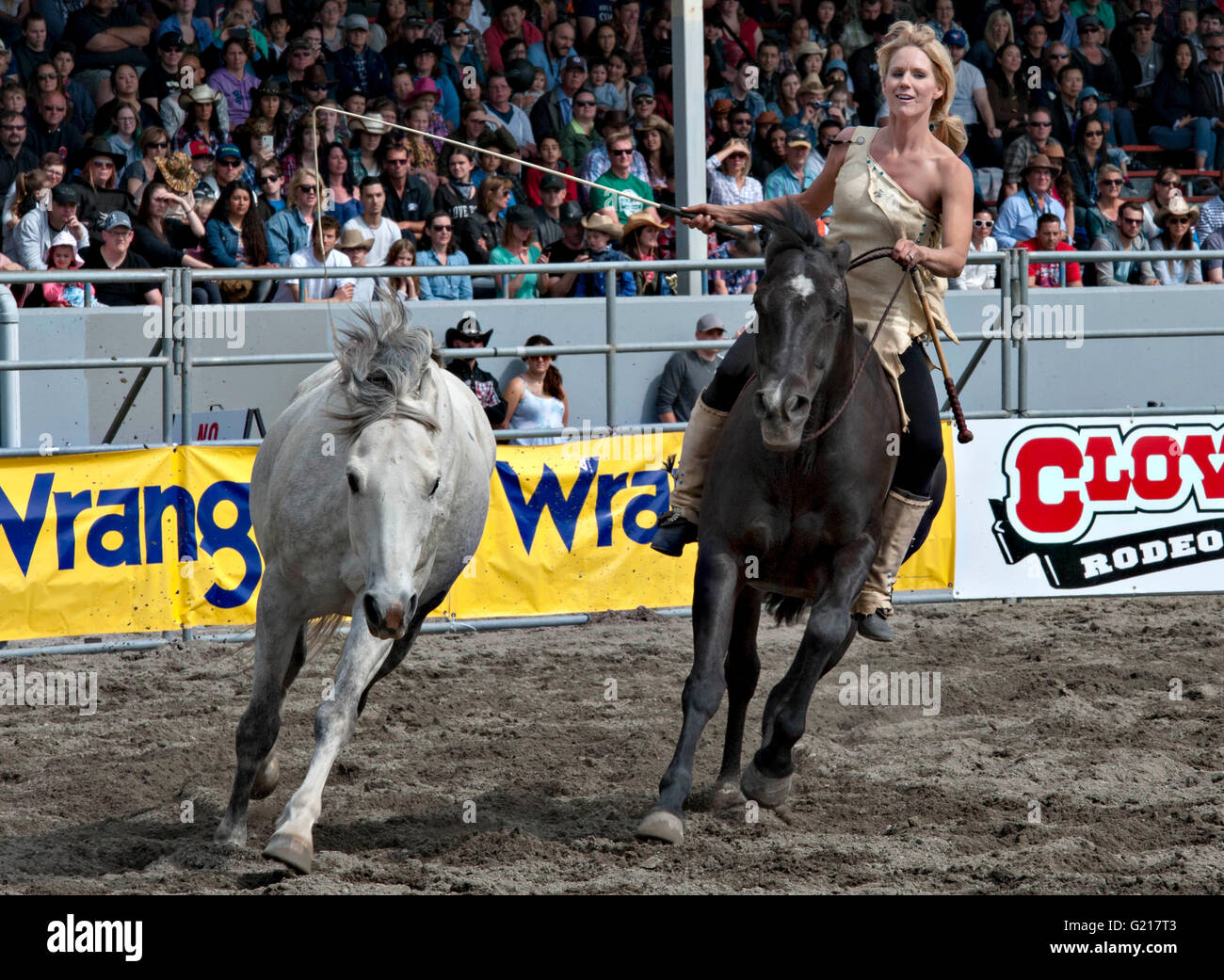 Surrey, Canada. 21 mai, 2016. Un entraîneur de chevaux effectue un tour de cheval pendant la Cloverdale Rodeo à Surrey, Canada, Mai 21, 2016. Plus de 95 cowboys et cowgirls concurrencer leurs compétences à la 70e circonscription Cloverdale Rodeo à Surrey, Canada. Cloverdale Rodeo est l'une des plus grandes et plus ancien événement rodéo en Amérique du Nord. Crédit : Andrew Soong/Xinhua/Alamy Live News Banque D'Images