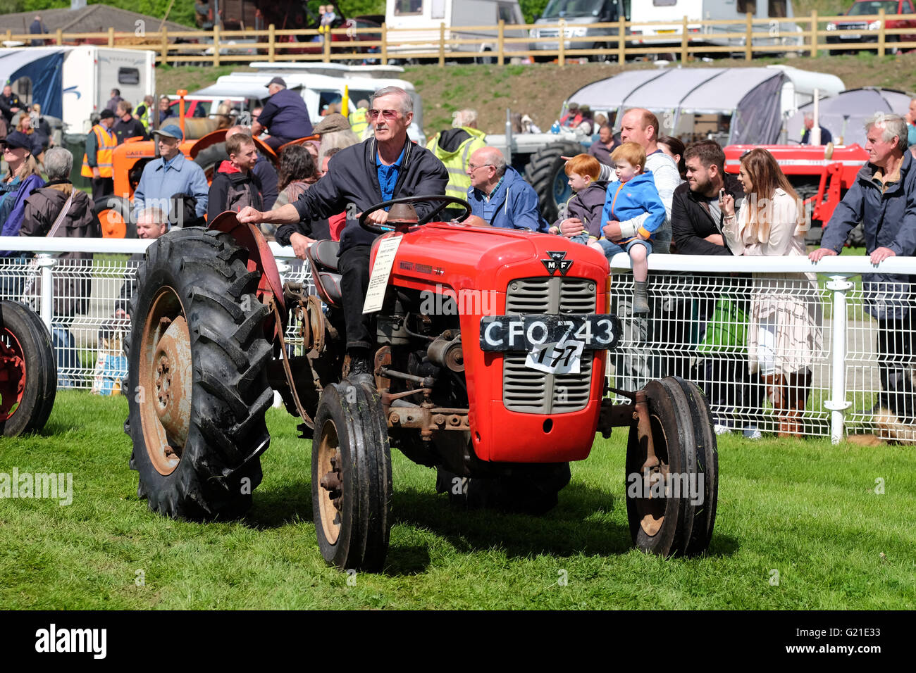 Royal Welsh Festival du printemps, mai 2016 - L'exposition comportait un défilé de voitures anciennes et vintage - illustré ici est un Massey Ferguson 35 produits à partir de la milieu des années cinquante jusqu'au milieu des années 60. Banque D'Images