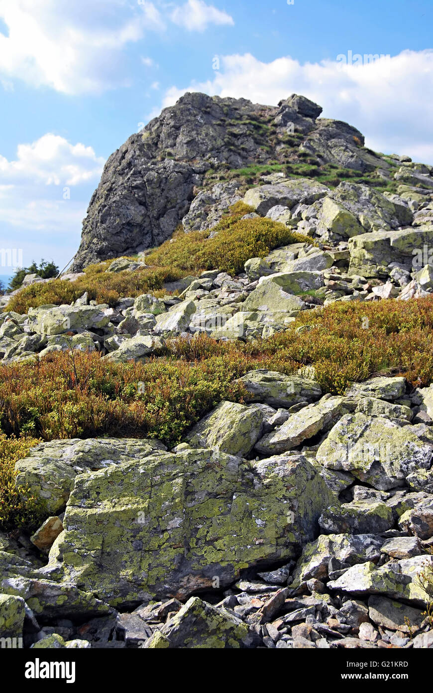 Formation de roche de quartzite sur Pecny hill au printemps Jeseniky mountains Banque D'Images