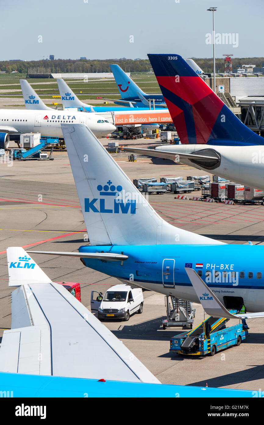 L'aéroport international d'Amsterdam Schiphol, avions, aux portes, aérogare, la voie de circulation, au décollage, internatinal airlines Banque D'Images