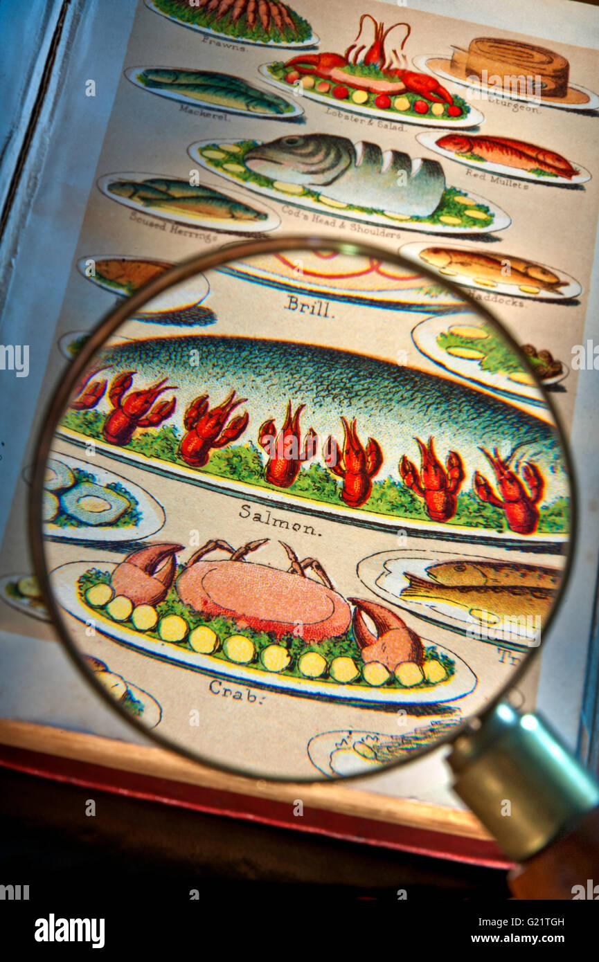 Victorien page de poisson illustration loupe verre détail lithographie Mme Beeton's Cookery Book illustrant variété plats de mer incl. Crabe saumon et brill Banque D'Images