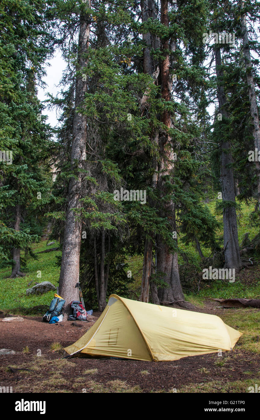Camping, bassin de Chicago, l'ancolie, sentier du col Weminuche Wilderness Area, San Juan National Forest, Colorado. Banque D'Images