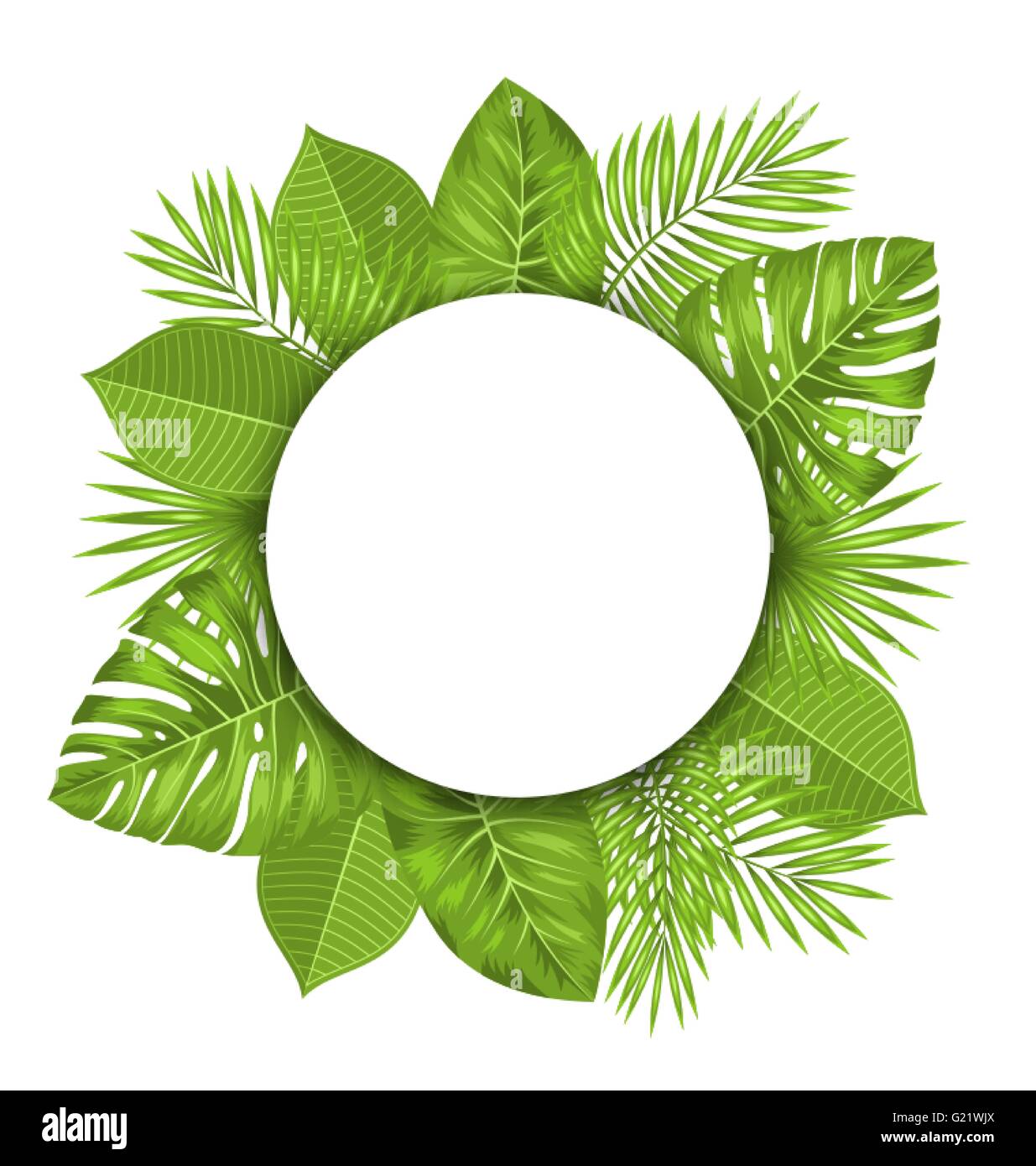 Carte de nettoyage avec du texte et de l'espace tropical vert Feuilles Illustration de Vecteur