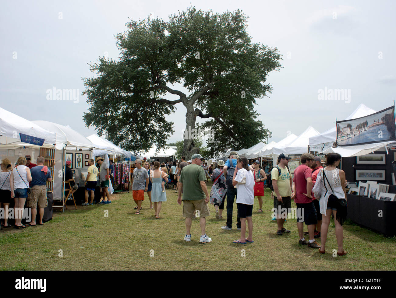 Un grand chêne entourée de tentes de l'artiste au Bayou Boogaloo festival à New Orleans. Banque D'Images