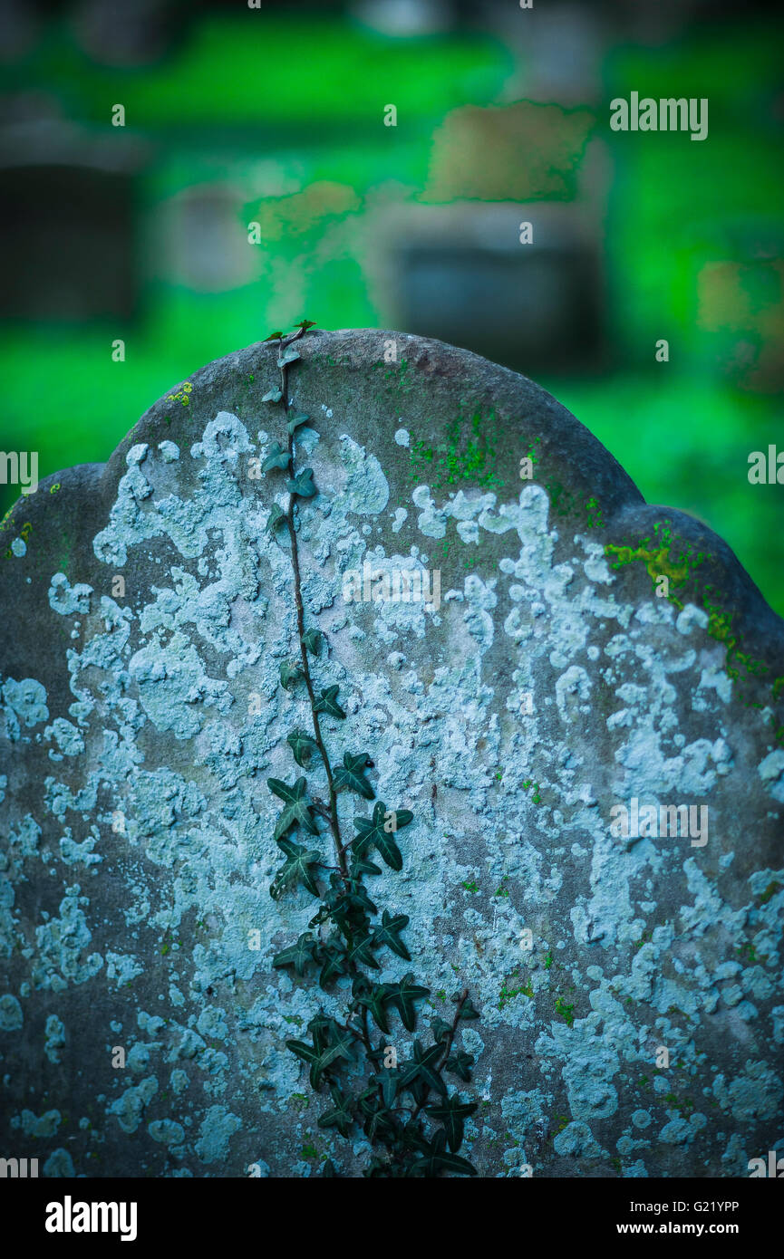 Concept de mort, détail d'une vieille pierre d'appui avec l'ivy rampant sur sa surface couverte de lichen. Banque D'Images
