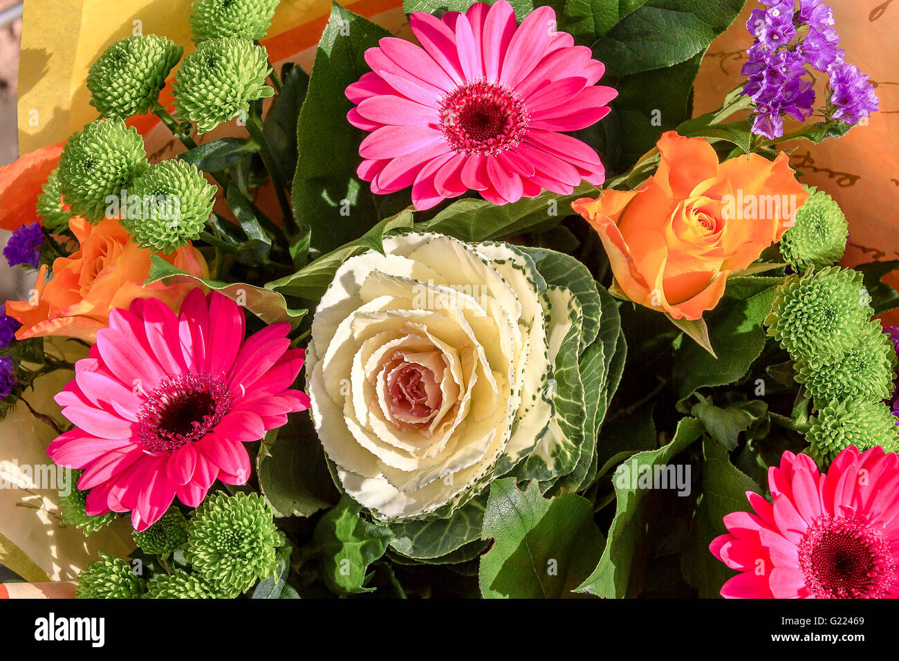 Fleurs colorées Afficher UK Banque D'Images