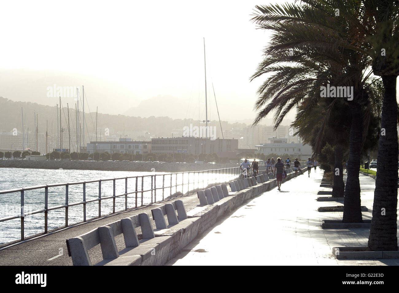 Une belle image poétique du boulevard à pied par la mer dans la ville de Palma, Palma de Mallorca, Espagne, mer, tourisme Banque D'Images