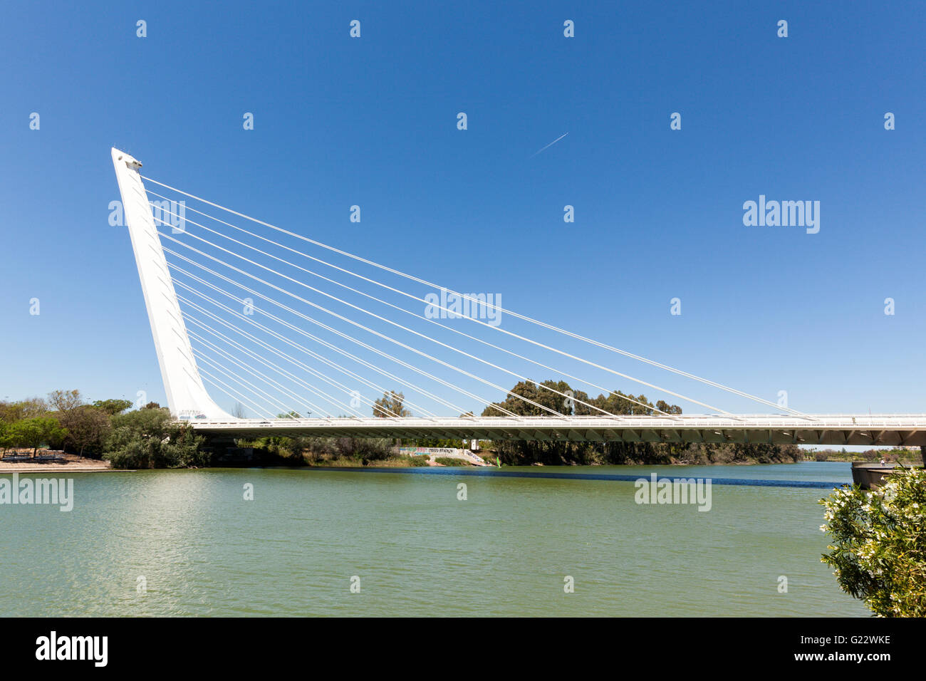 Puente del Alamillo de Séville, Espagne, conçue par Santiago Calatrava pour EXPO 1992, la traversée du Canal de Alfonso XIII Banque D'Images