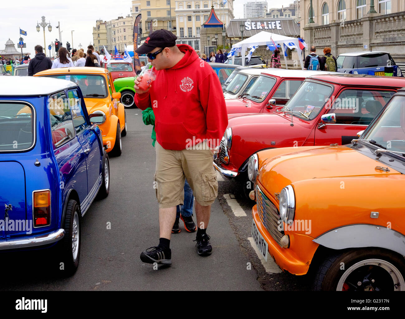 Brighton, UK. 22 mai 2016. Les minis sur le lecteur de Madère à la fin de l'exécution de Mini Londres à Brighton qui a rassemblé à Crystal Palace un jour plus tôt. L'événement est orgamised par la London & Surrey Mini Owners Club. Crédit : Scott Hortop / Alamy Live News Banque D'Images