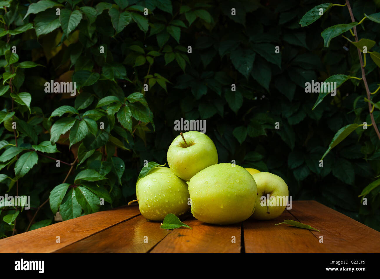 Quelques pommes dans le village sur une table en bois et feuilles mortes Banque D'Images