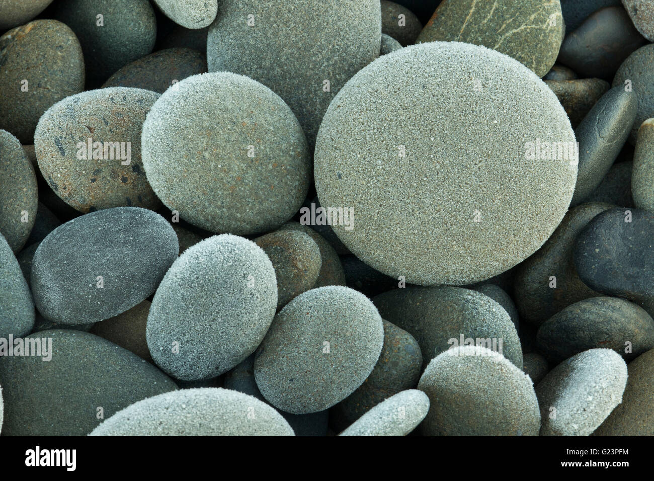 Galets sur South Beach, Olympic National Park, Washington Banque D'Images