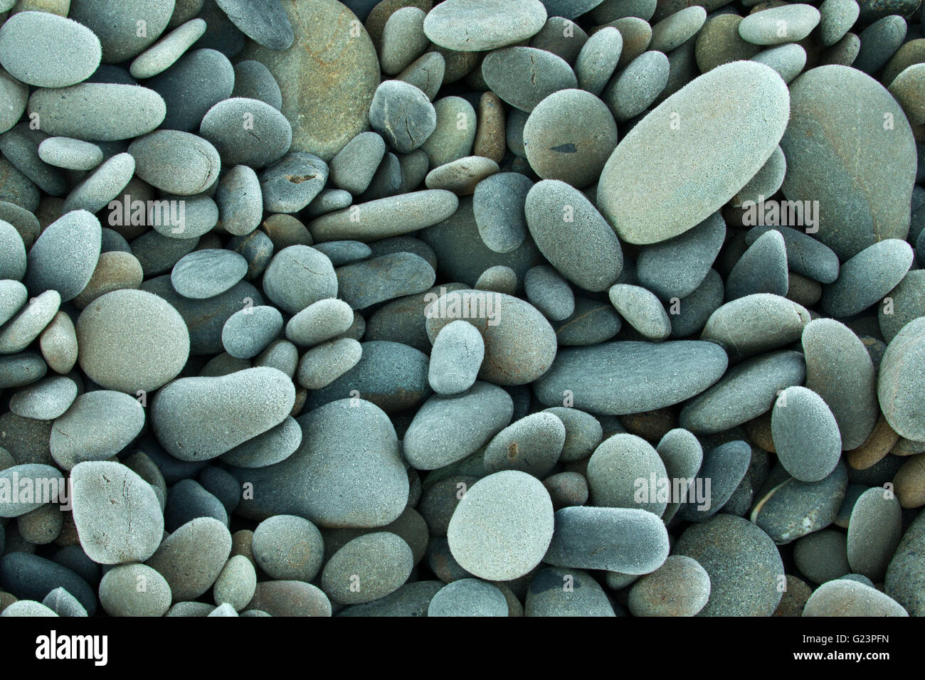 Galets sur South Beach, Olympic National Park, Washington Banque D'Images