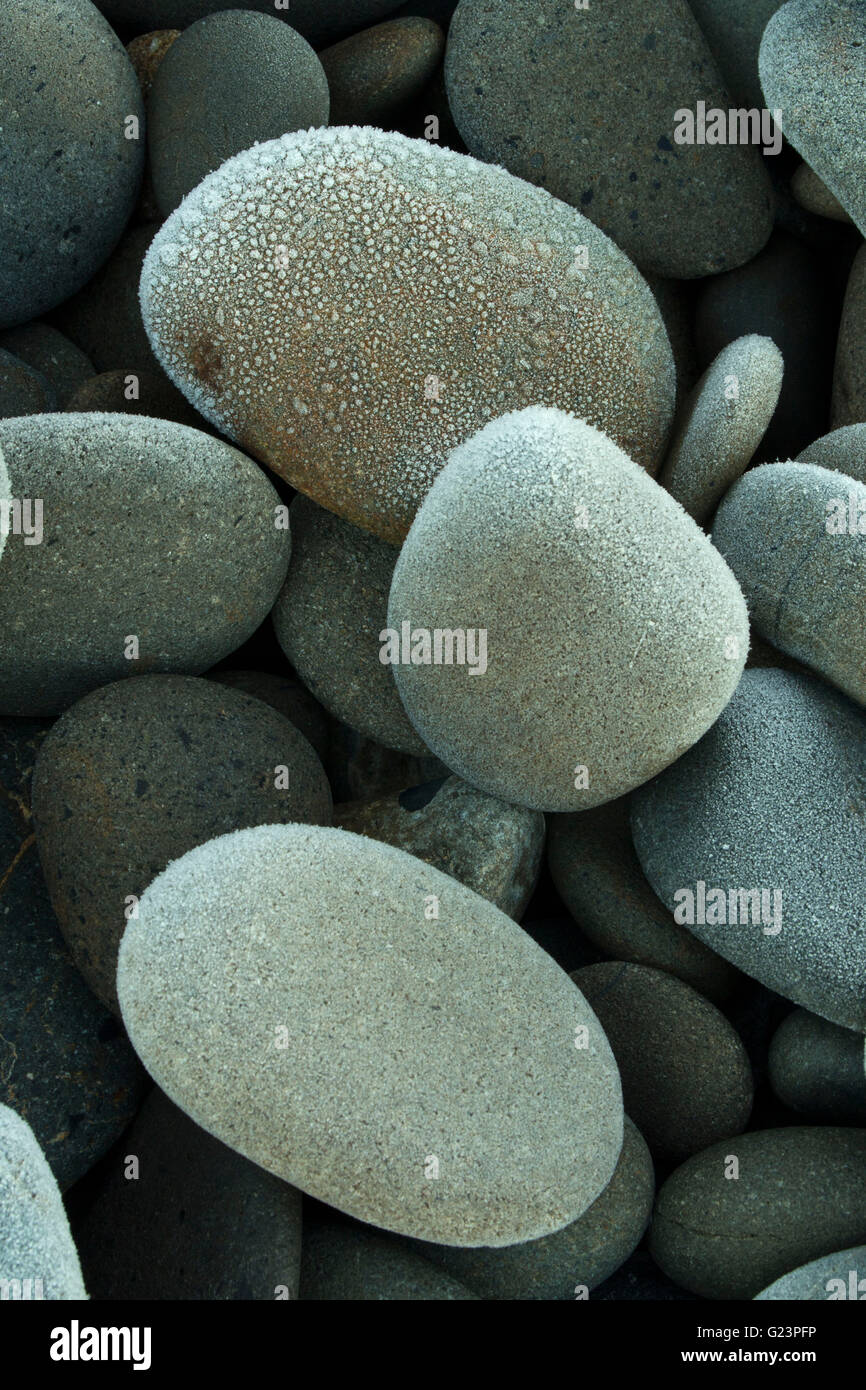 Galets sur South Beach, Olympic National Park, Washington Banque D'Images