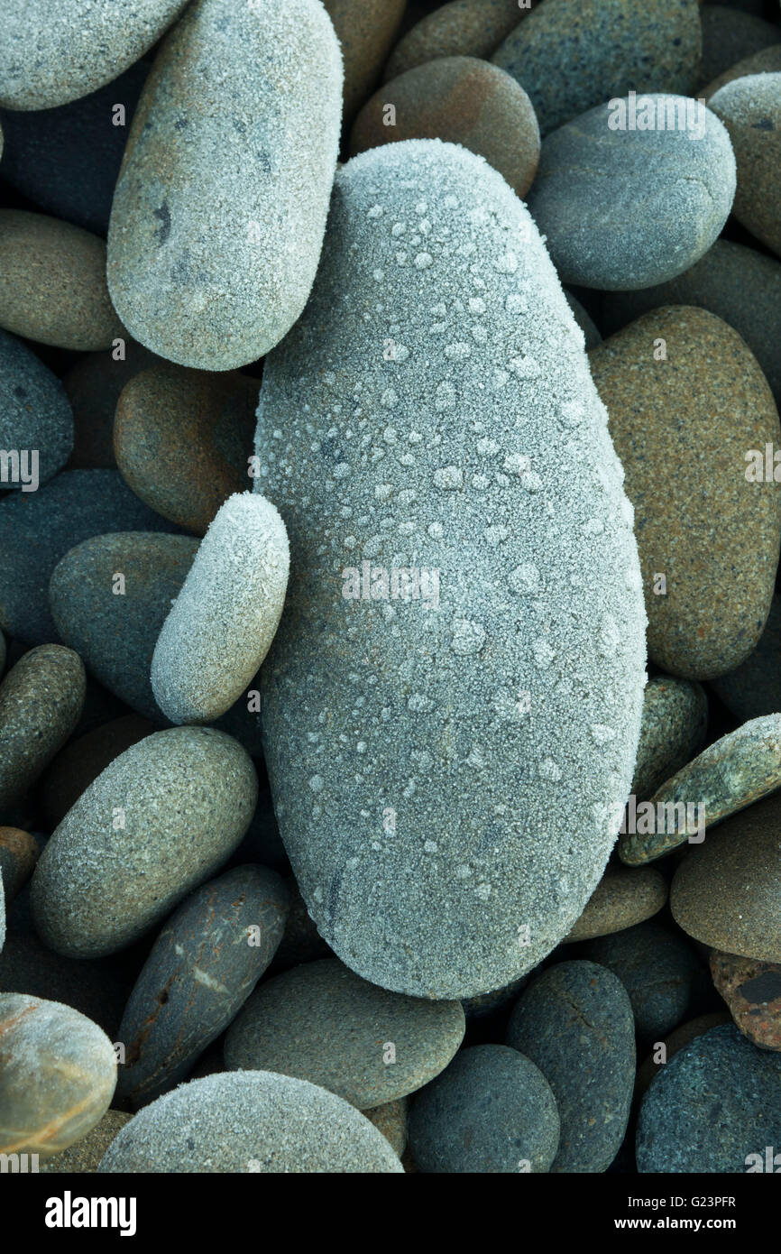 Galets sur South Beach, Olympic National Park, Washington Banque D'Images