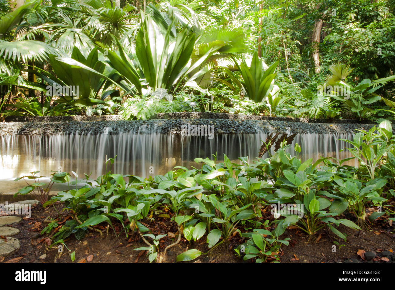 Peu d'Waterful artificiel dans le Jardin Botanique de Singapour Banque D'Images