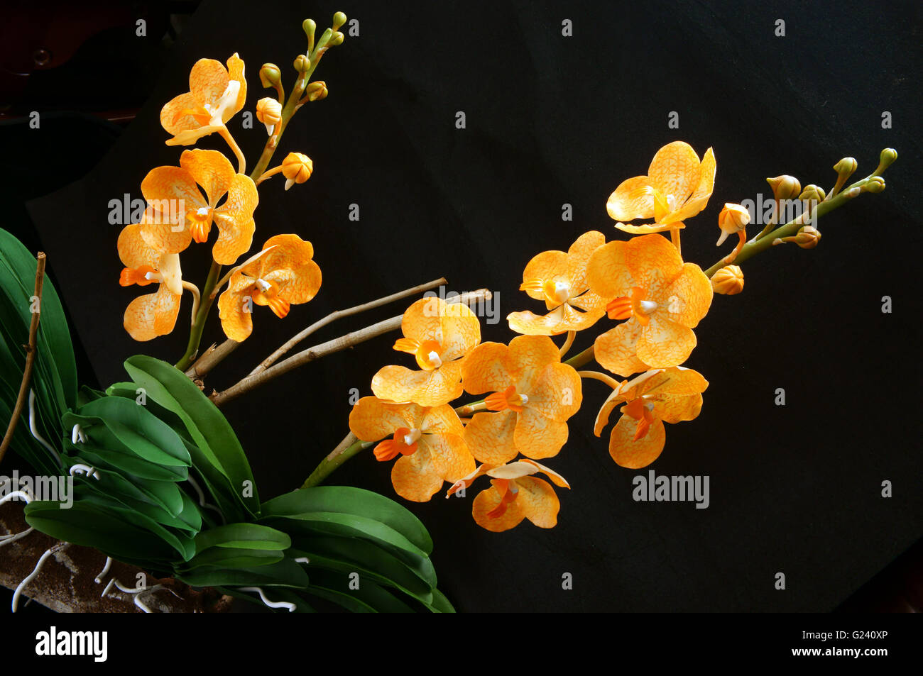 Produit fait main incroyable sur fond noir, de l'argile comme fleur fleur  de lotus rose, orange orchidée, belles fleurs artificielles Photo Stock -  Alamy