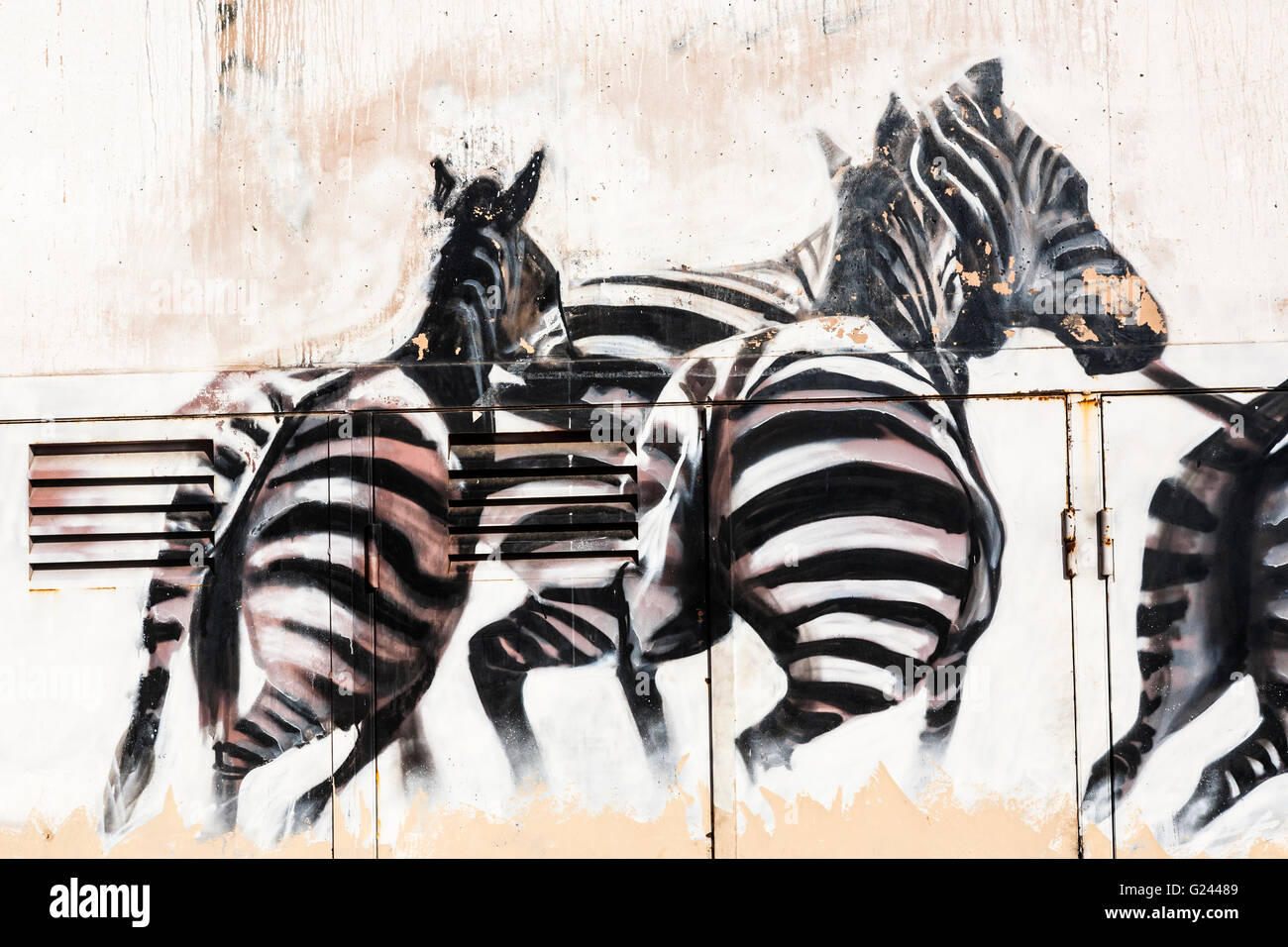 Zebra Graffiti sur un mur de Barcelone, Catalogne, Espagne. Banque D'Images