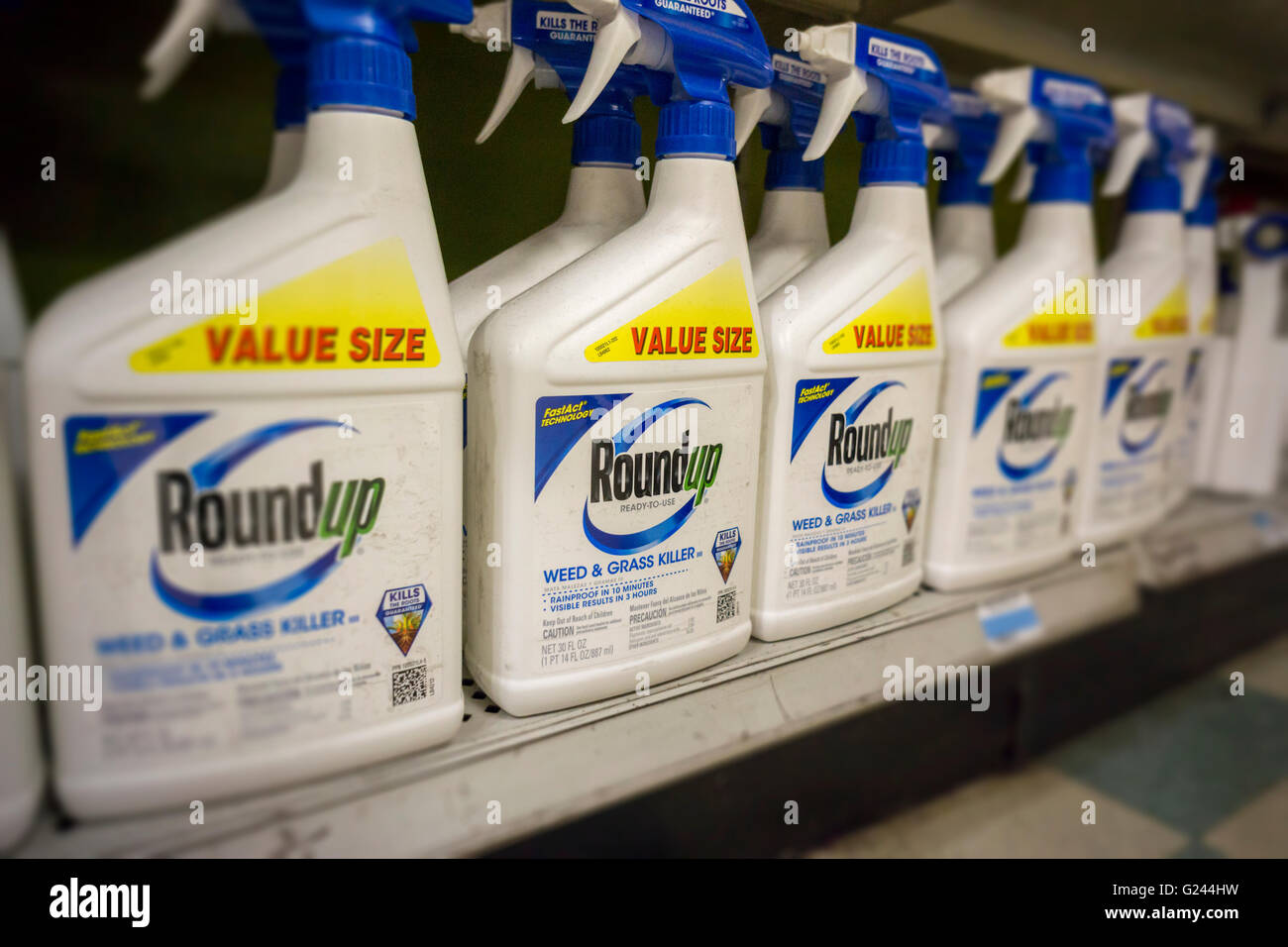 Conteneurs de Roundup de Monsanto weed killer sur une étagère de magasin d'approvisionnement de jardin à New York le lundi 23 mai 2016. Bayer AG, l'entreprise chimique et pharmaceutique allemande, a fait une offre d'achat de la Monsanto Co. pour $62 milliards de dollars. L'ensemble des entreprises serait la plus grande entreprise de produits agrochimiques dans le monde. (© Richard B. Levine) Banque D'Images