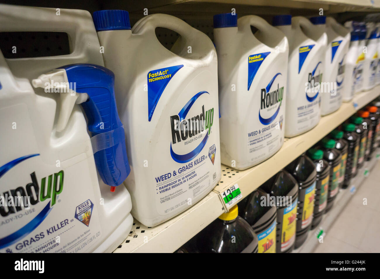 Conteneurs de Roundup de Monsanto weed killer sur une étagère de magasin d'approvisionnement de jardin à New York le lundi 23 mai 2016. Bayer AG, l'entreprise chimique et pharmaceutique allemande, a fait une offre d'achat de la Monsanto Co. pour $62 milliards de dollars. L'ensemble des entreprises serait la plus grande entreprise de produits agrochimiques dans le monde. (© Richard B. Levine) Banque D'Images