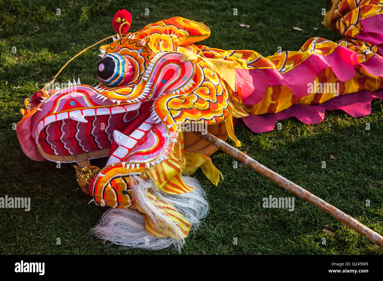 Pièces De Tête De Dragon Chinois Utilisés Dans Les Danses Pour La  Célébration Traditionnelle. Banque D'Images et Photos Libres De Droits.  Image 46530304