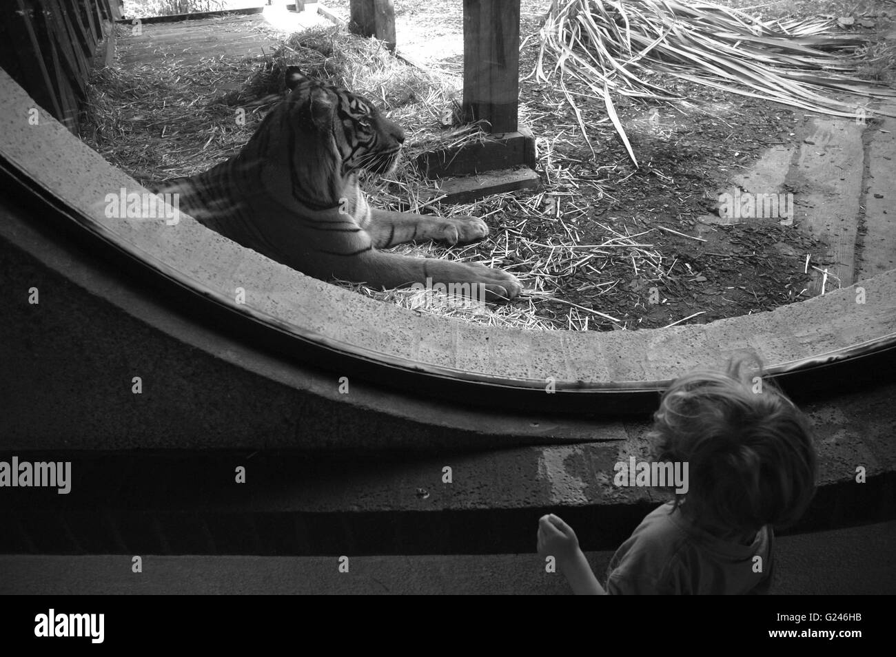 Image Exploring People Relationship with Animals, London Zoo, Londres, Angleterre, Royaume-Uni, GB. Banque D'Images Image Exploring People Relationship with Animals, London Zoo, Londres, Angleterre, Royaume-Uni, GB. Banque D'Images