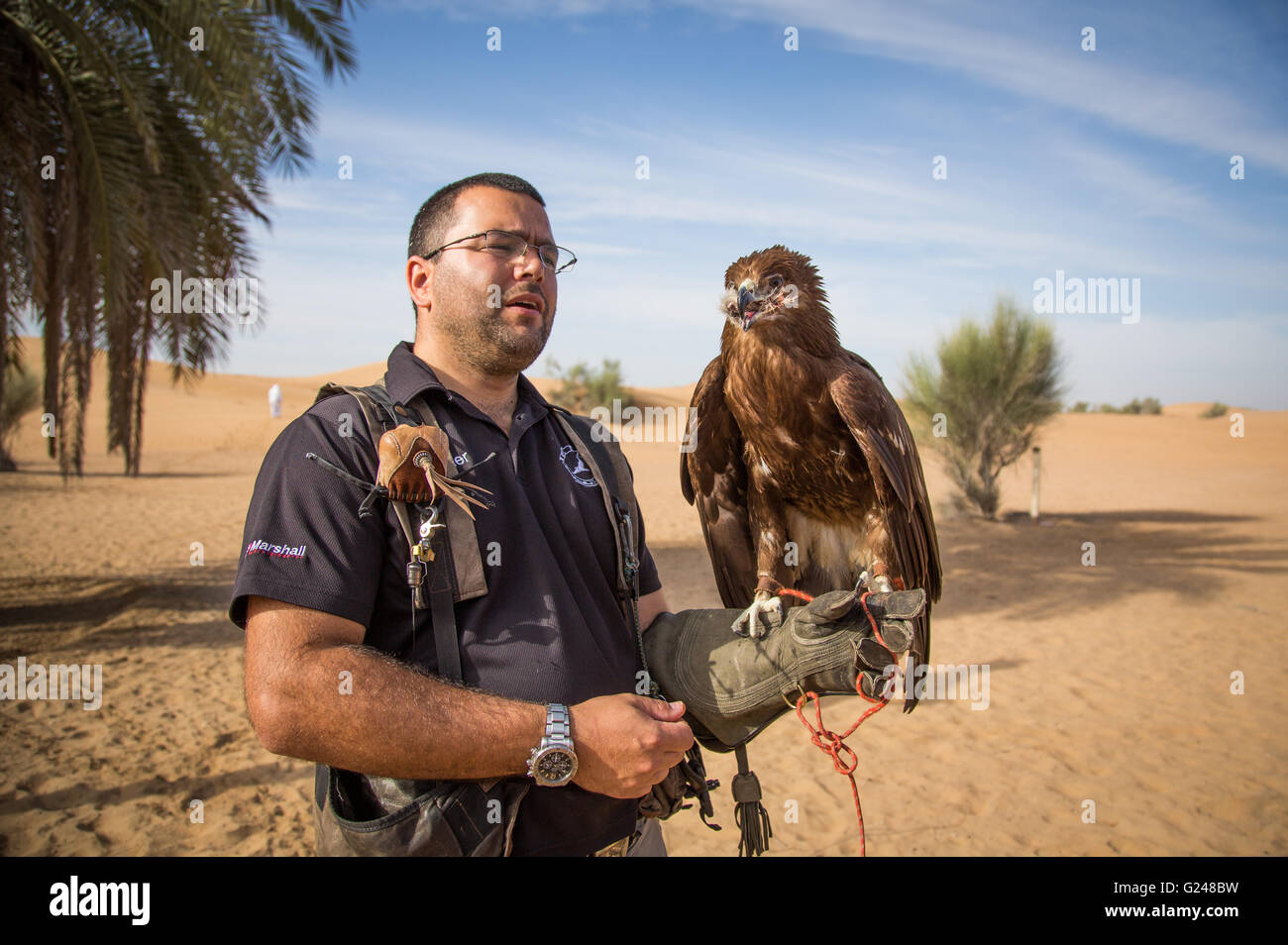 Une plus grande Spotted Eagle est assis sur une main de son formateur Banque D'Images