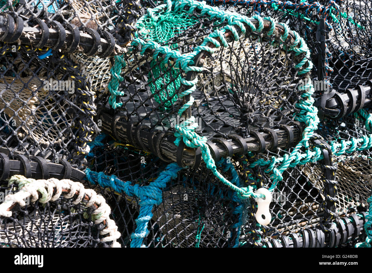 Close up d'un homard ou des casiers à crabes Banque D'Images