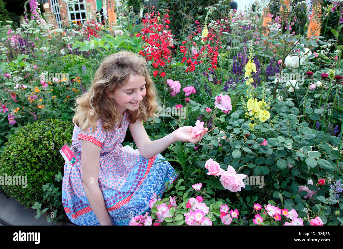 Lit de fleur dans le jardin britannique Harrods excentriques par Diarmuid Gavin Banque D'Images