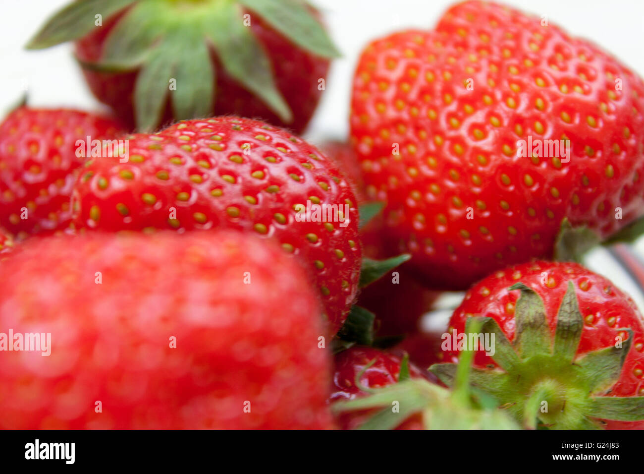 Gros plan de certains frais mûrs strawberrys avec leurs coques encore attaché Banque D'Images