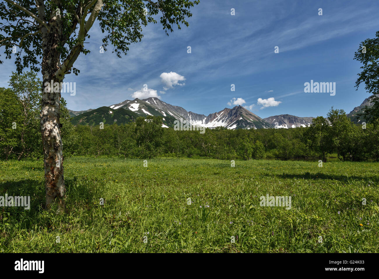 Nature de la péninsule du Kamtchatka : beau paysage d'été avec vue sur la montagne sur une journée ensoleillée. Extrême-Orient russe, région du Kamchatka. Banque D'Images