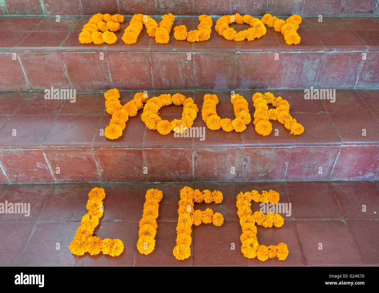 Fleurs dans les escaliers formant le mots "Profiter de votre vie'. Citation de motivation Banque D'Images
