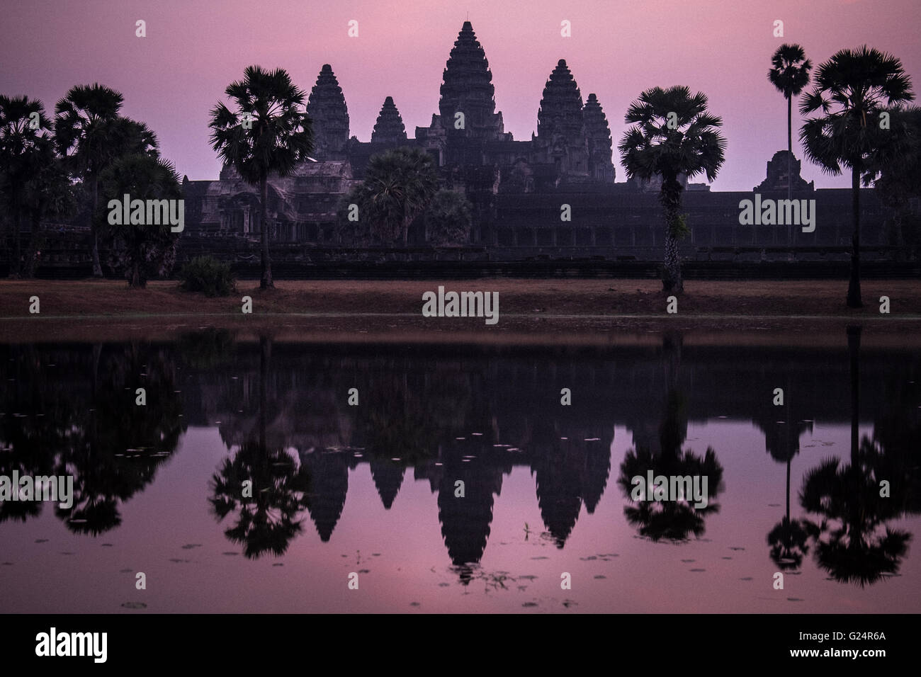 L'aube à Angkor Wat, au Cambodge Banque D'Images