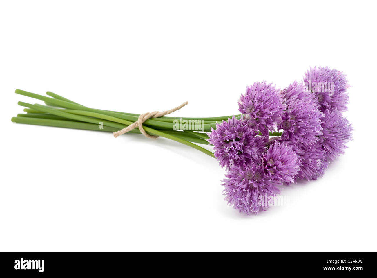 La ciboulette fleurs isolé sur fond blanc Banque D'Images