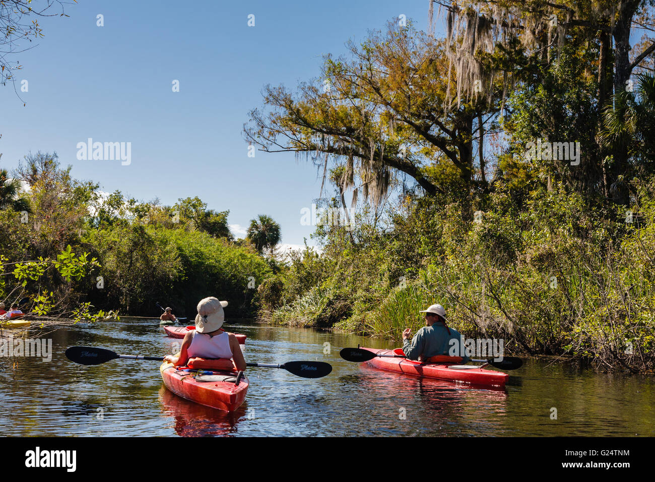 Un groupe de pagayeurs en kayak sur une rivière dans les Everglades. Banque D'Images