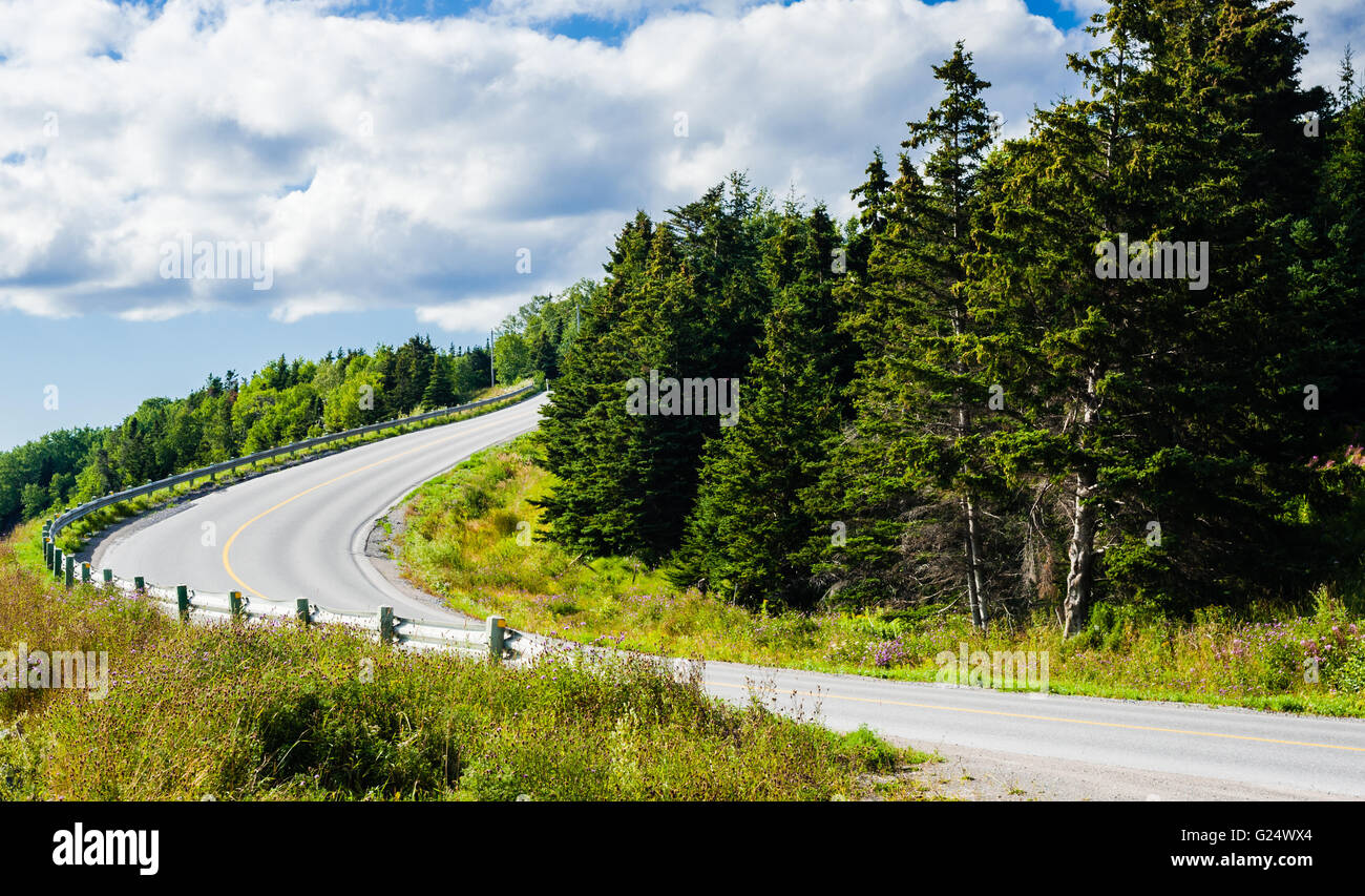 Vide ouvert route asphaltée avec rail de protection de descente en courbe autour de bosquet sous ciel nuageux. Banque D'Images