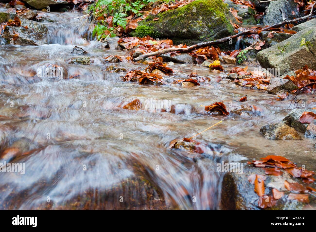 Paysage d'automne avec Creek, de roches et de feuillage en montagne Banque D'Images