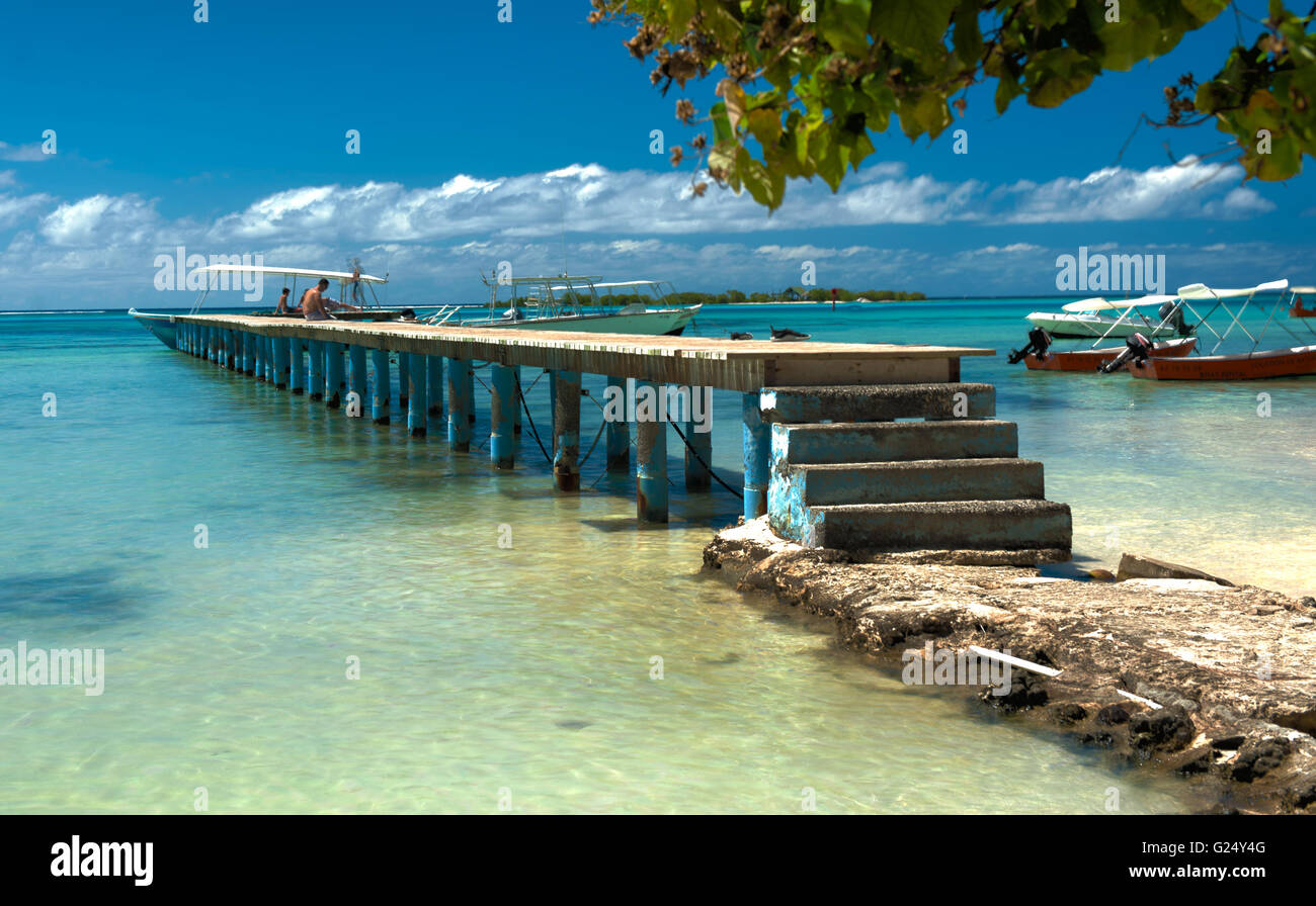 À pied de la plage de l'île de Moorea en Polynésie française scieries Banque D'Images