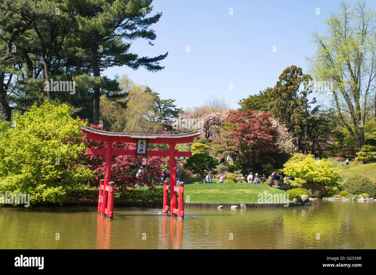 Le jardin japonais du Jardin botanique de Brooklyn, New York, USA Photo