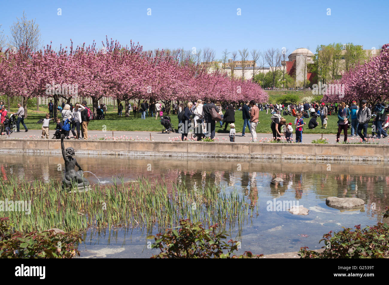 Les visiteurs appréciant la fleur de printemps au Jardin botanique de Brooklyn, New York, USA Banque D'Images