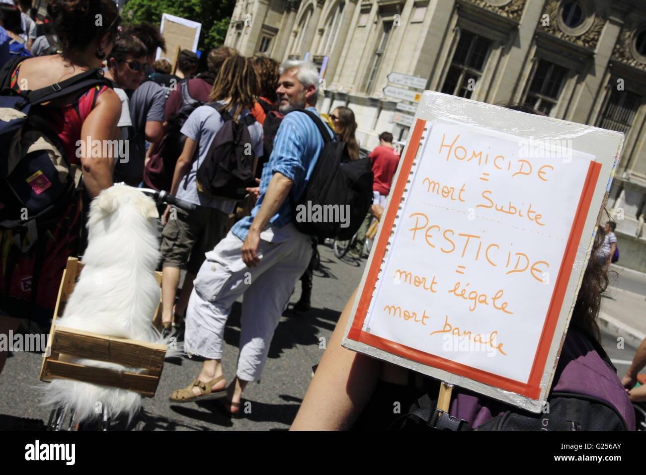 Marche mondiale et manifestation contre Monsanto, contre les organismes génétiquement modifiés (OGM) contre la disparition des abeilles Banque D'Images